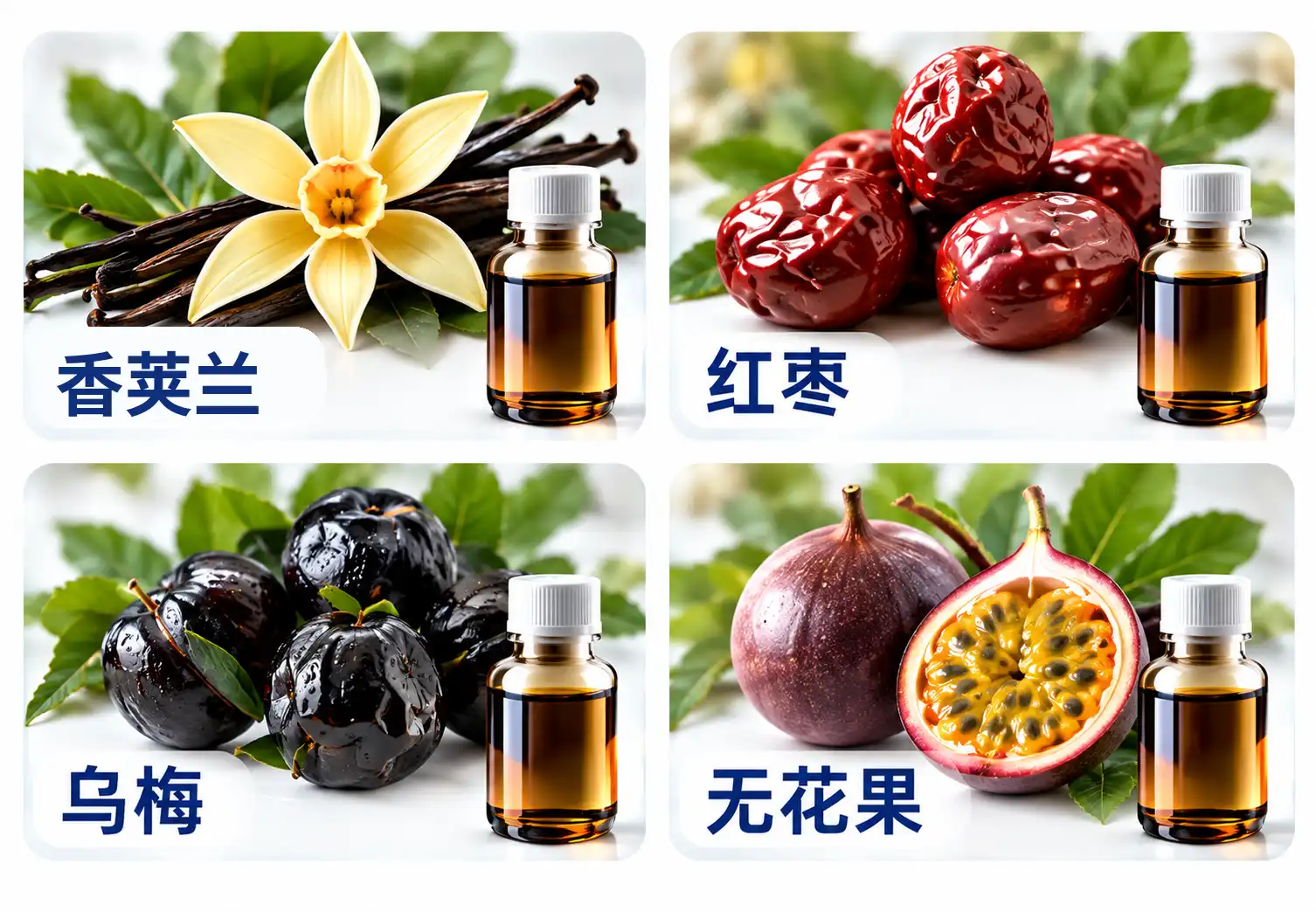 特色工艺植提物