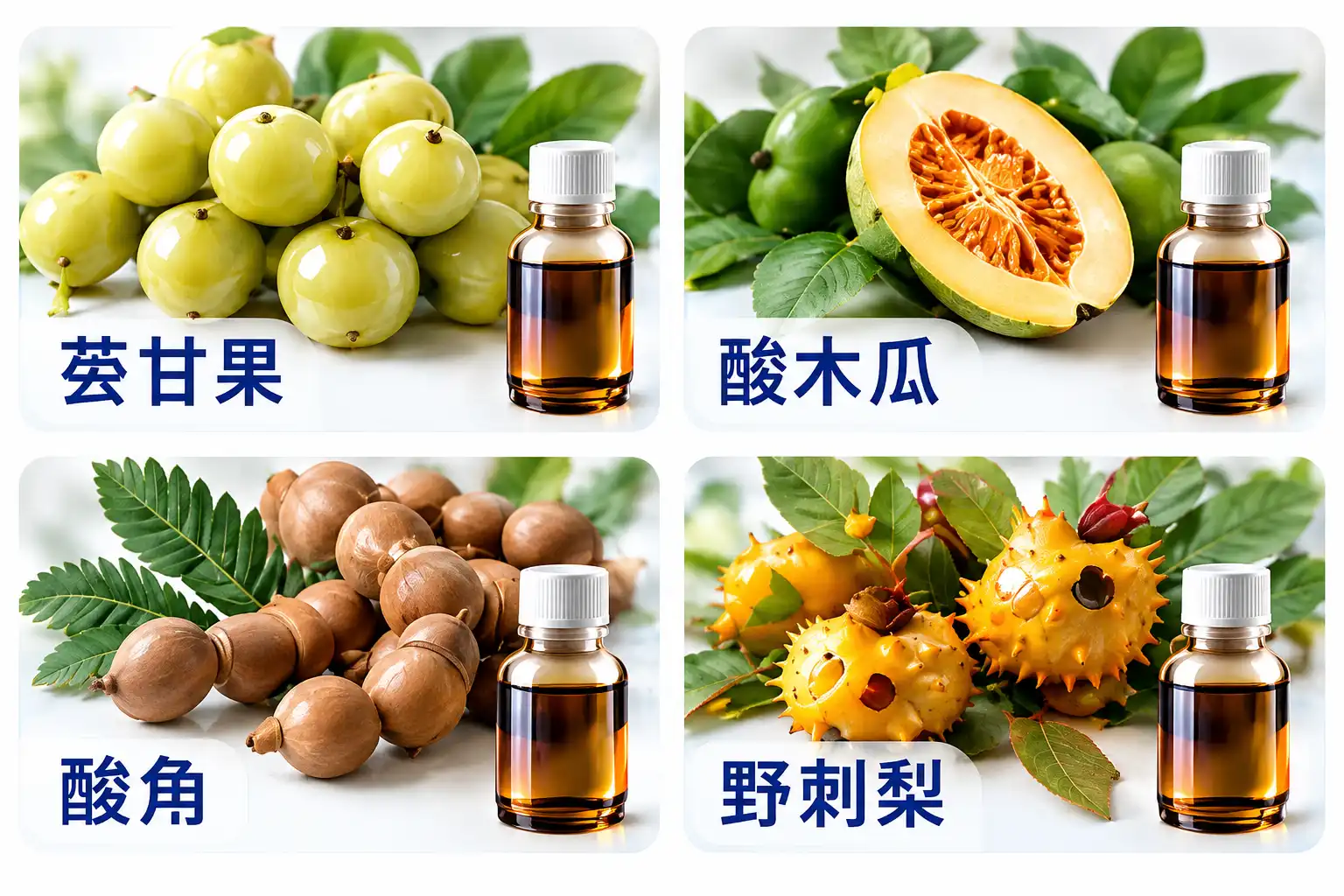 特色非烟植提物